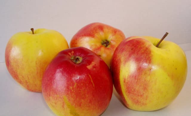 Ile jabłek dziennie przy odchudzaniu? Sprawdź, jak nie przytyć Ile jabłek dziennie przy odchudzaniu? Sprawdź, jak nie przytyć