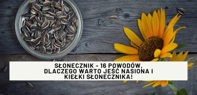 Ile kalorii ma słonecznik? Zaskakujące fakty o jego wartości odżywczej Ile kalorii ma słonecznik? Zaskakujące fakty o jego wartości odżywczej